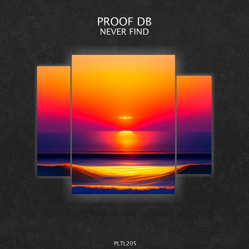 Proof Db - Never Find [PLTL205]